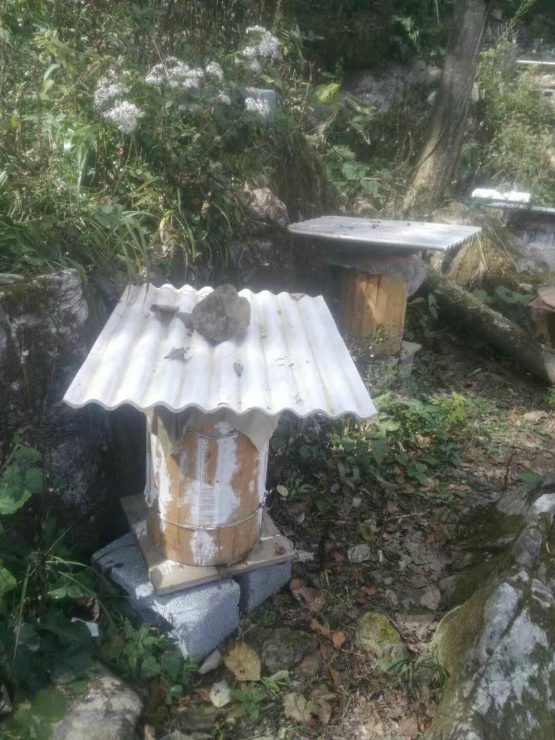 土蜂蜜