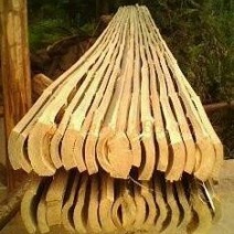 楠竹