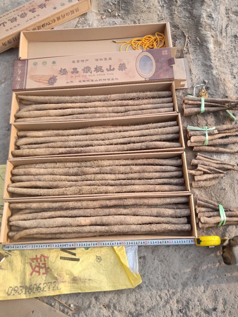 【产地直供】假铁棍山药，一手货源批发品质保证价格美丽