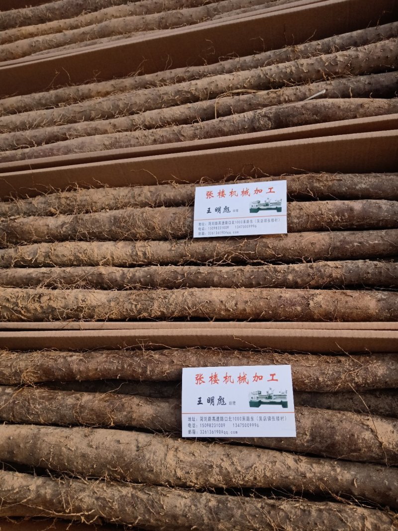 【产地直供】假铁棍山药，一手货源批发品质保证价格美丽