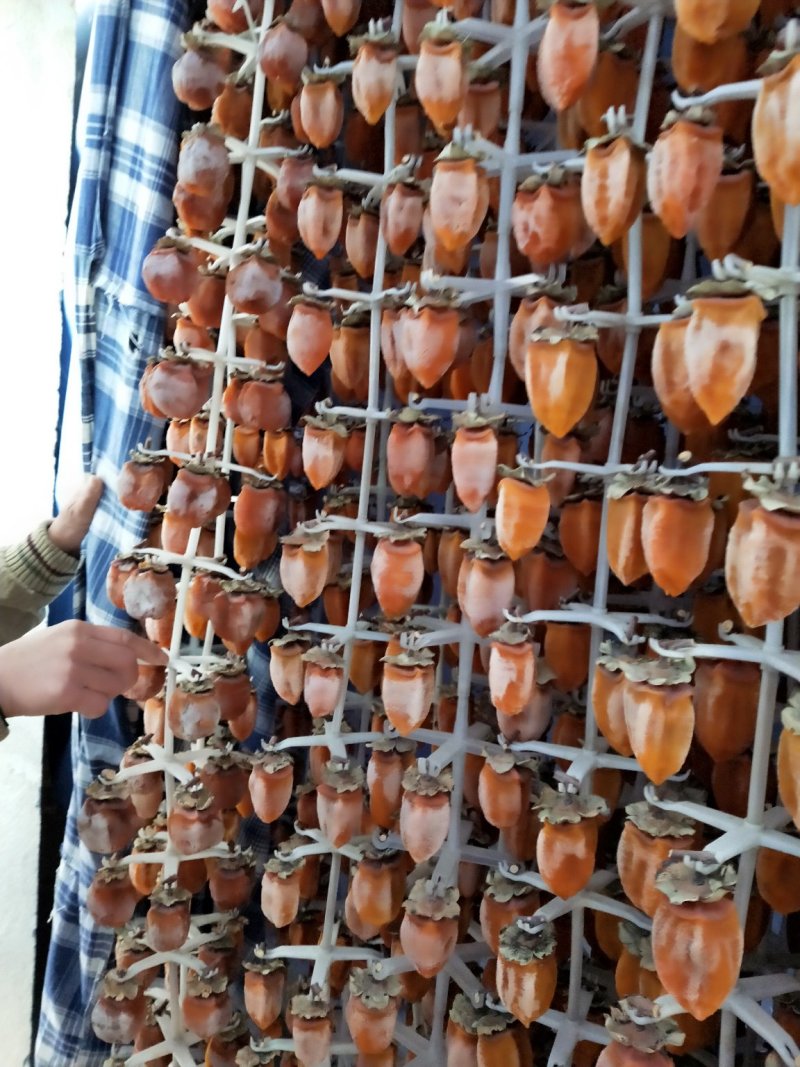 通货通货13/13/13/