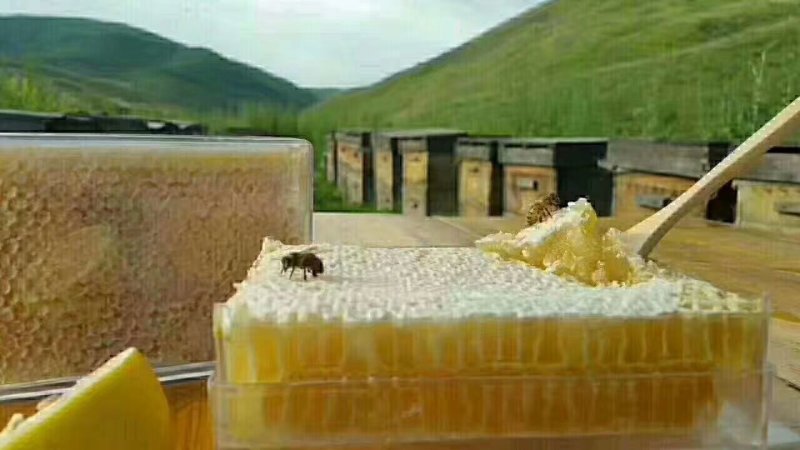 新疆伊犁草原蜂蜜蜂王浆