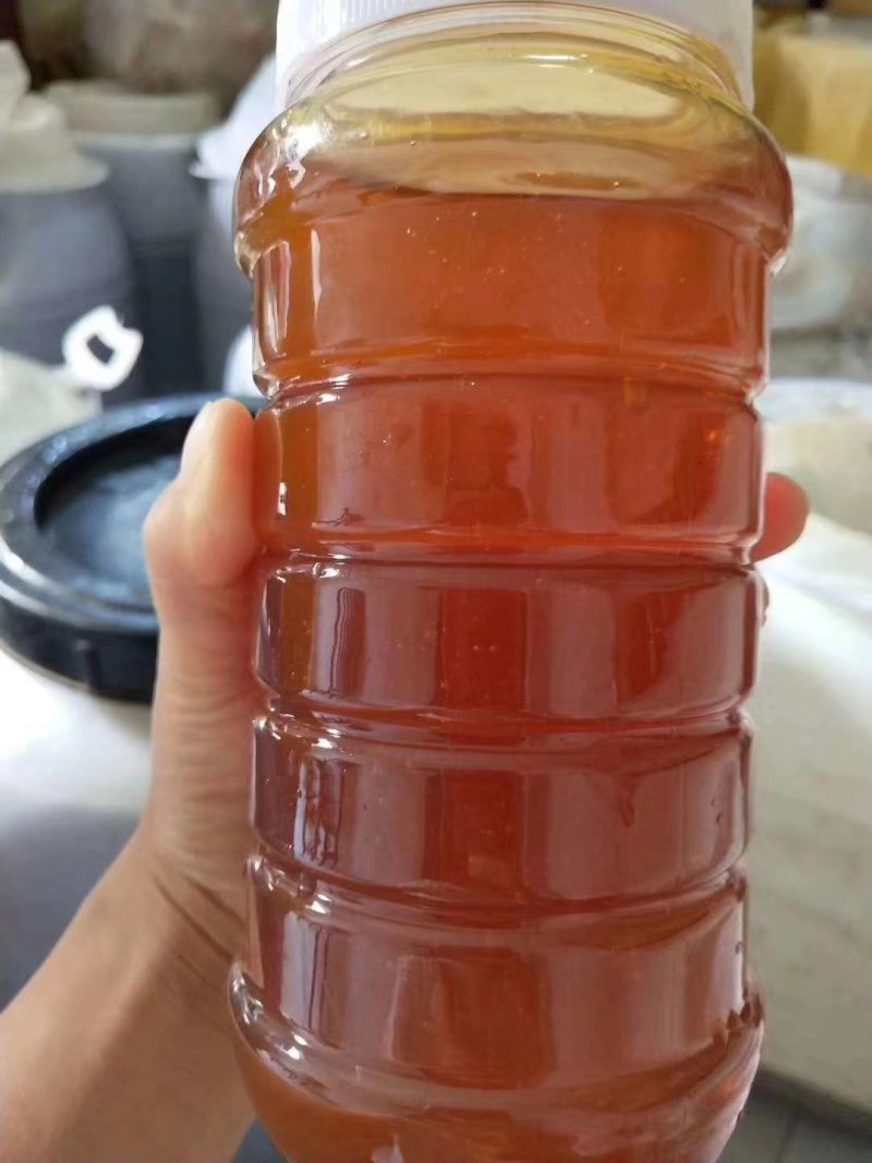 新疆伊犁草原蜂蜜蜂王浆