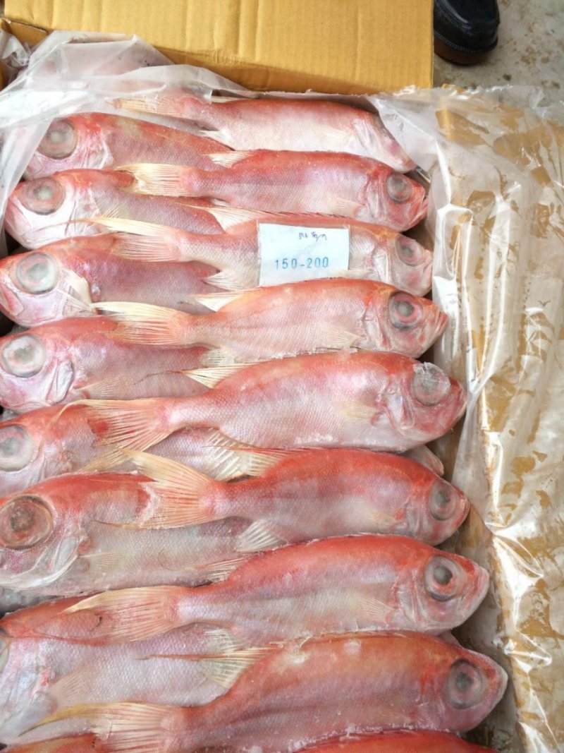 大眼鸡
