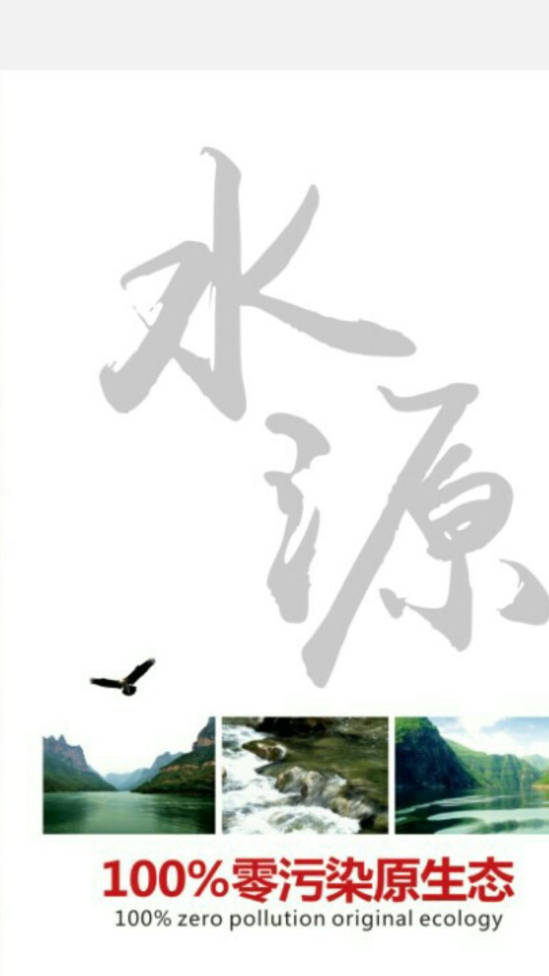 腐竹