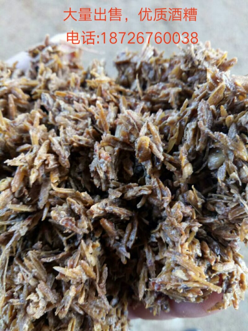 五粮酒糟，酒糟粉，