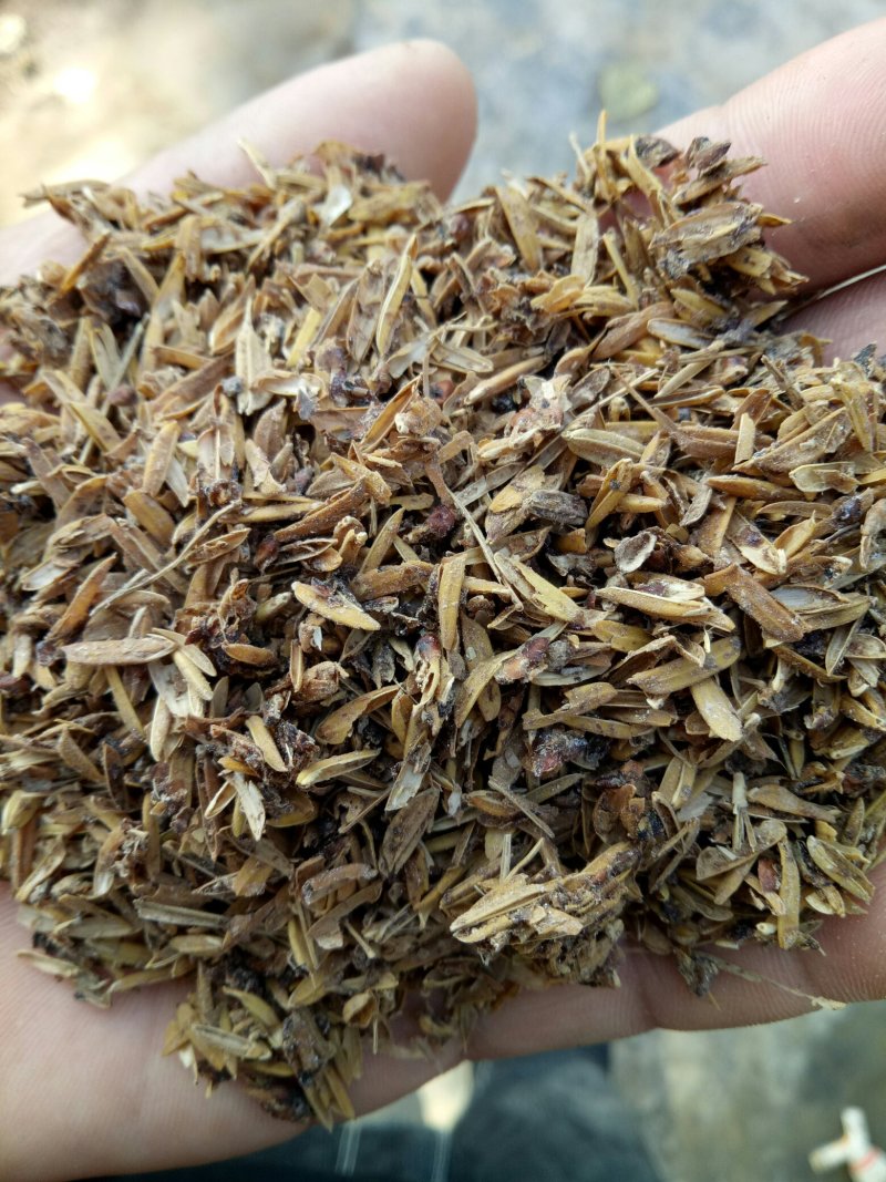 五粮酒糟，酒糟粉，