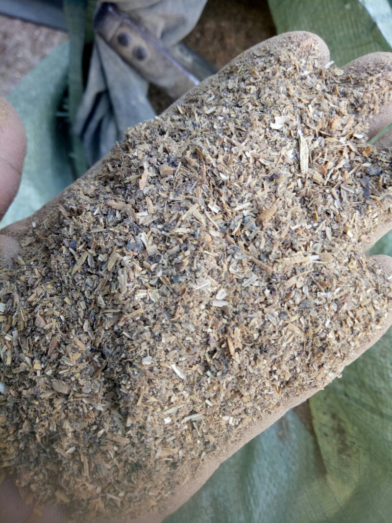 五粮酒糟，酒糟粉，
