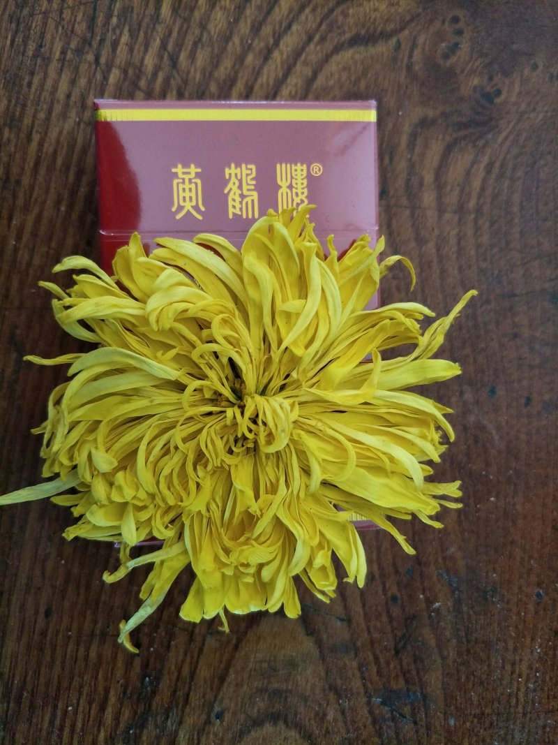 金丝皇菊茶