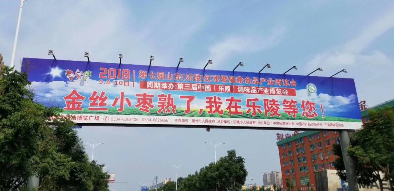 新疆核桃以质论价量大优惠