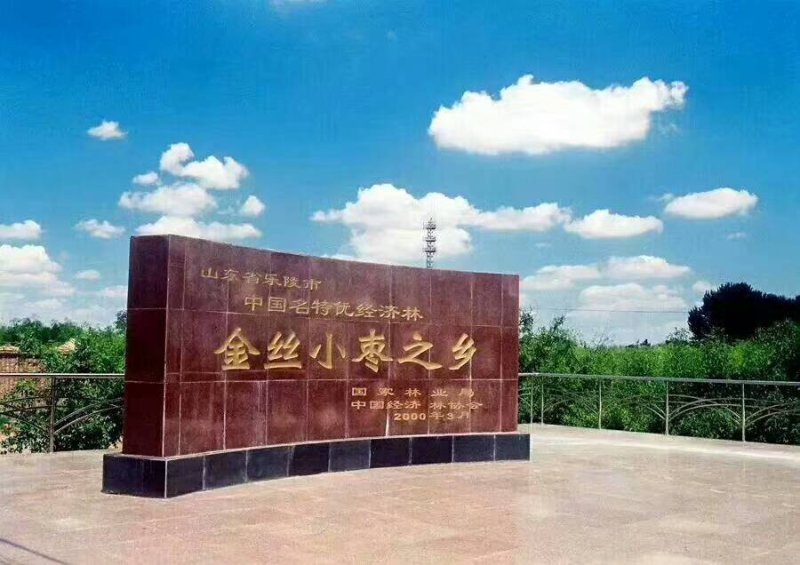 新疆核桃以质论价量大优惠