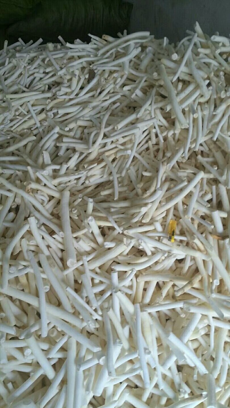 寇脱、离南、活莌、倚商、通脱木、葱草、白通草