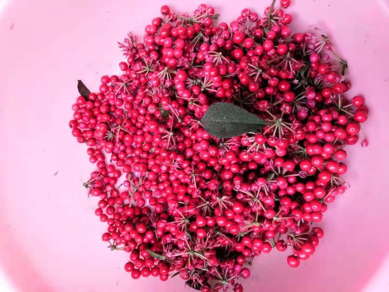 虎舌红
