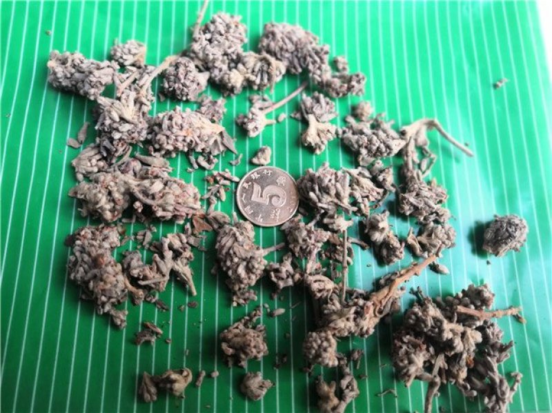 密蒙花四川干货人工种植包邮