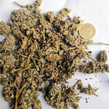密蒙花四川干货人工种植包邮