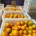 冰糖橙供应各种规格橙子🍊
