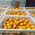 冰糖橙供应各种规格橙子🍊