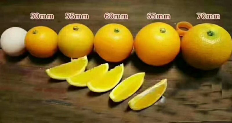 冰糖橙供应各种规格橙子🍊