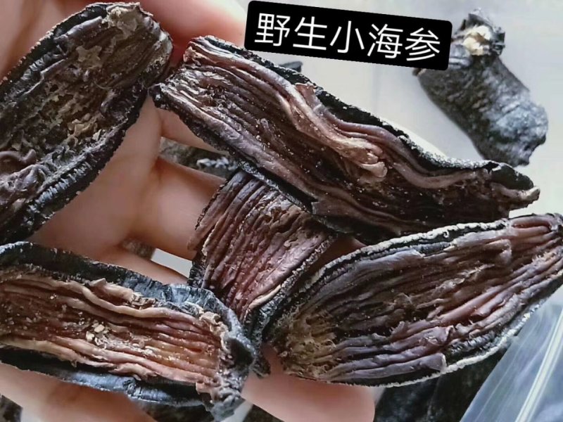 地瓜鱼！海参！油曼！海曼！海蛇！红鱼！马鲛鱼！龙舌鱼！