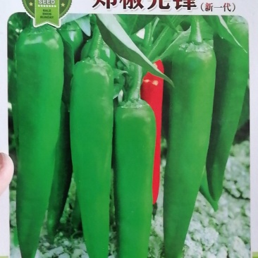 【优质】市场反应好的羊角椒种子