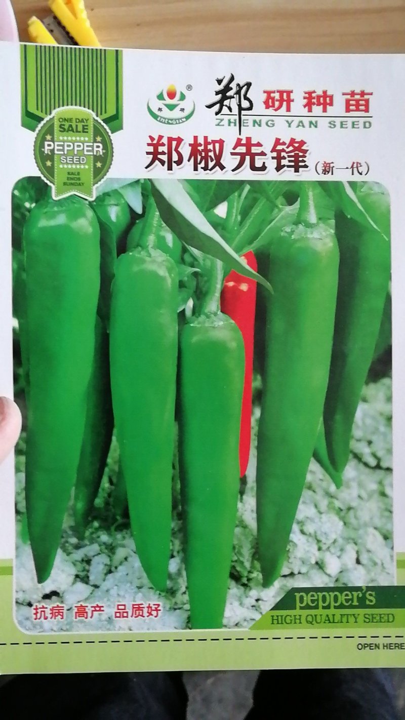 【优质】市场反应好的羊角椒种子