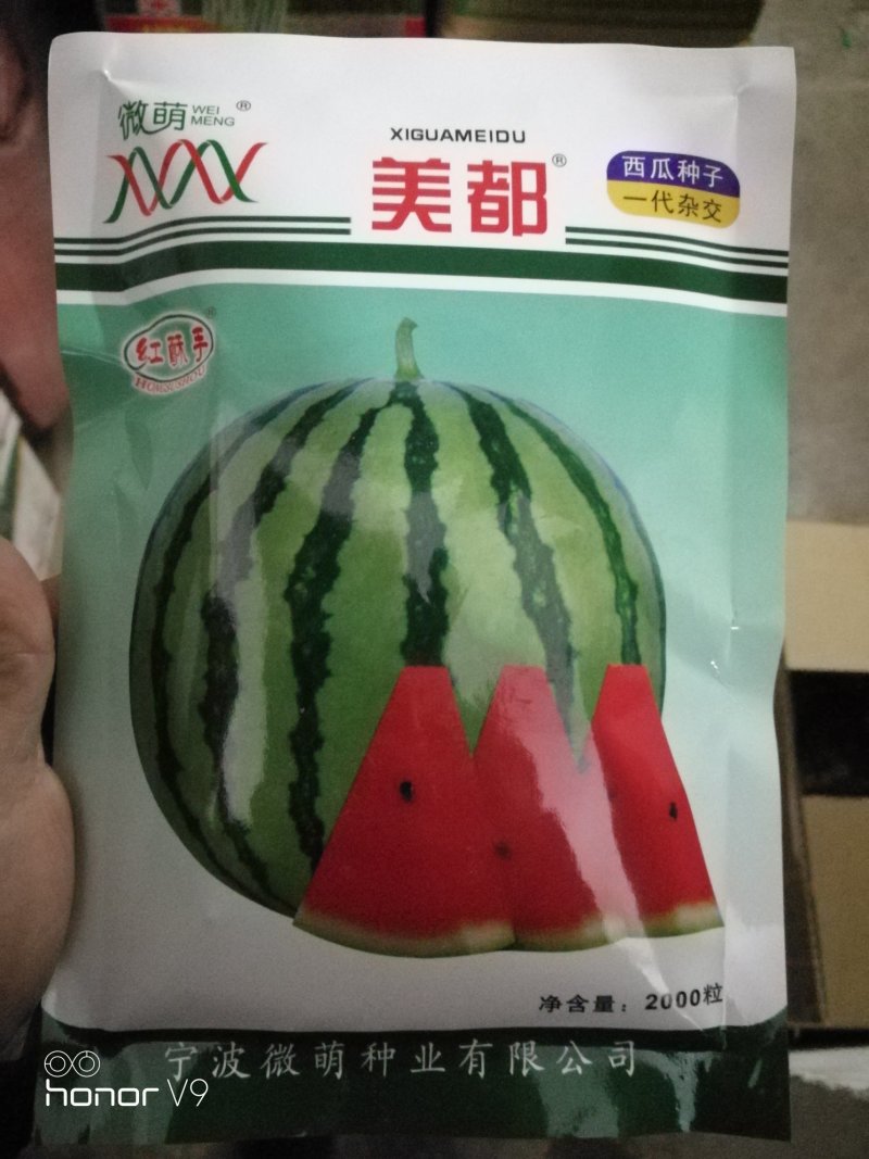 宁波金美都西瓜冰糖麒麟早佳大红瓤品质好瓜型均匀甜度高