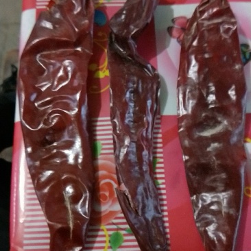 铁板椒，红龙，金塔，美国红等色素辣椒系列