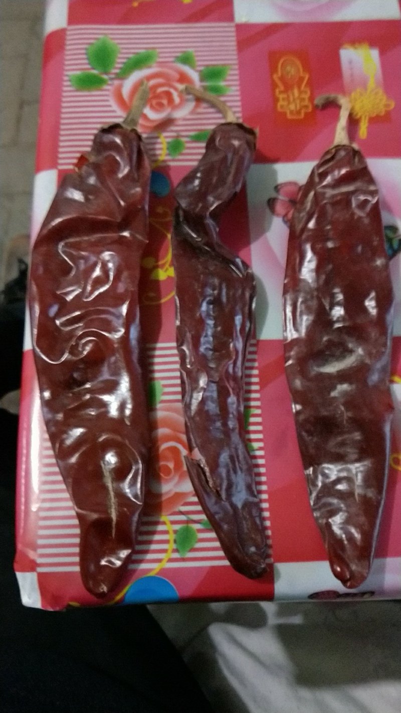 铁板椒，红龙，金塔，美国红等色素辣椒系列