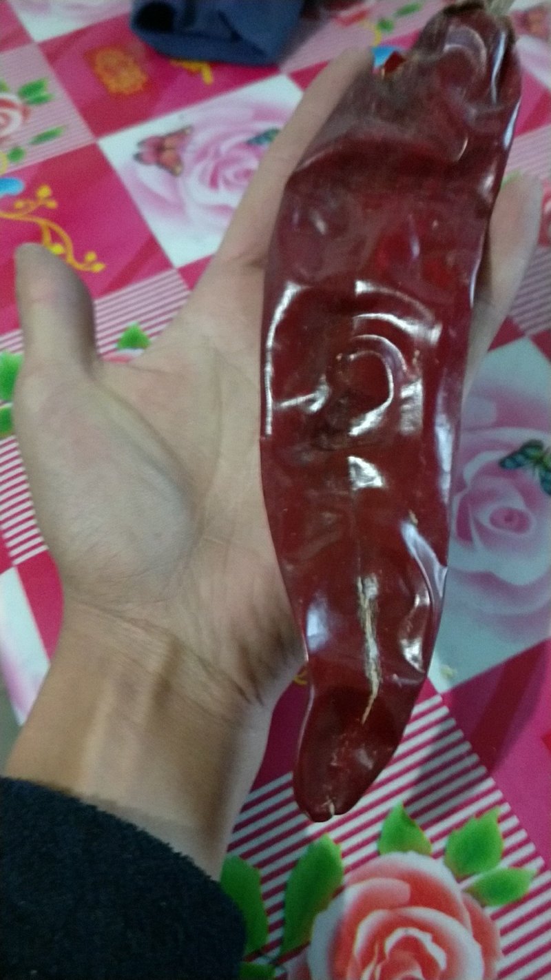 铁板椒，红龙，金塔，美国红等色素辣椒系列