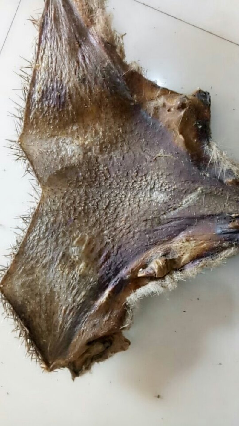 刺猬皮常年经营大货，质量保证