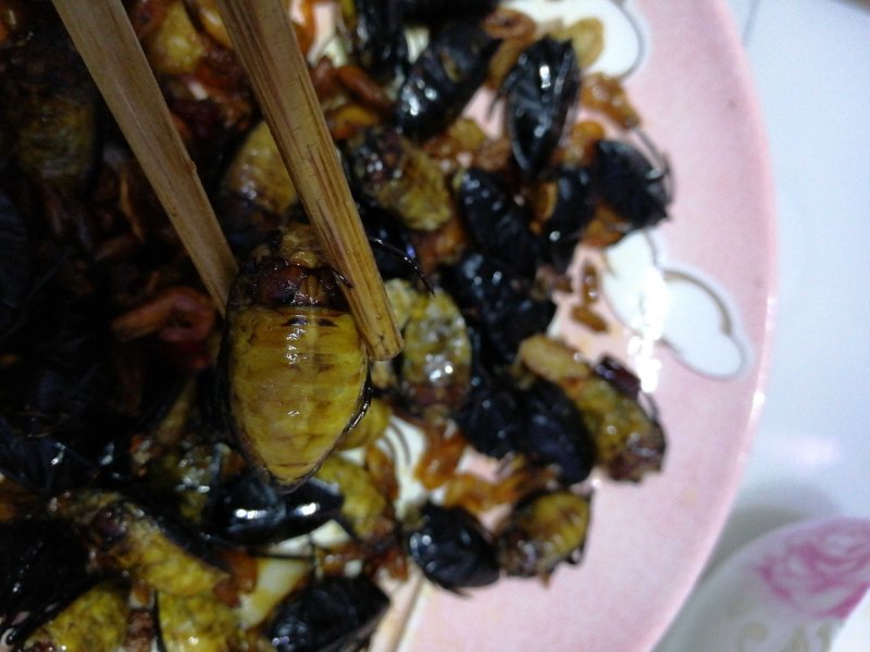 新鲜黑龙虱放尿速冻饱满糕黄多