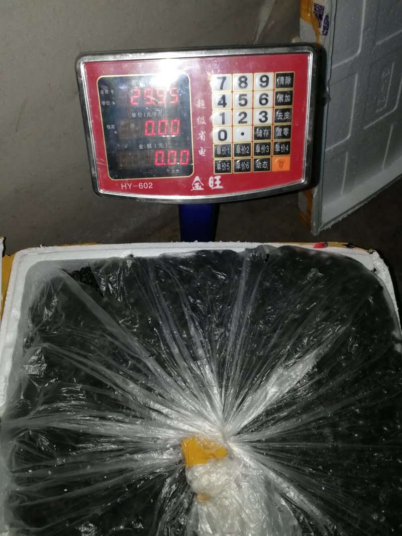 新鲜黑龙虱放尿速冻饱满糕黄多