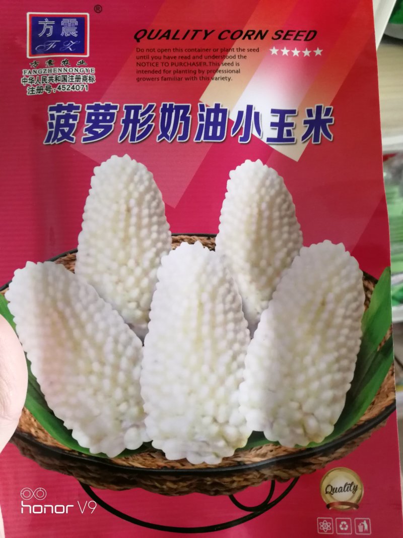 【优质】草莓菠萝奶油爆米花水果花小玉米种子