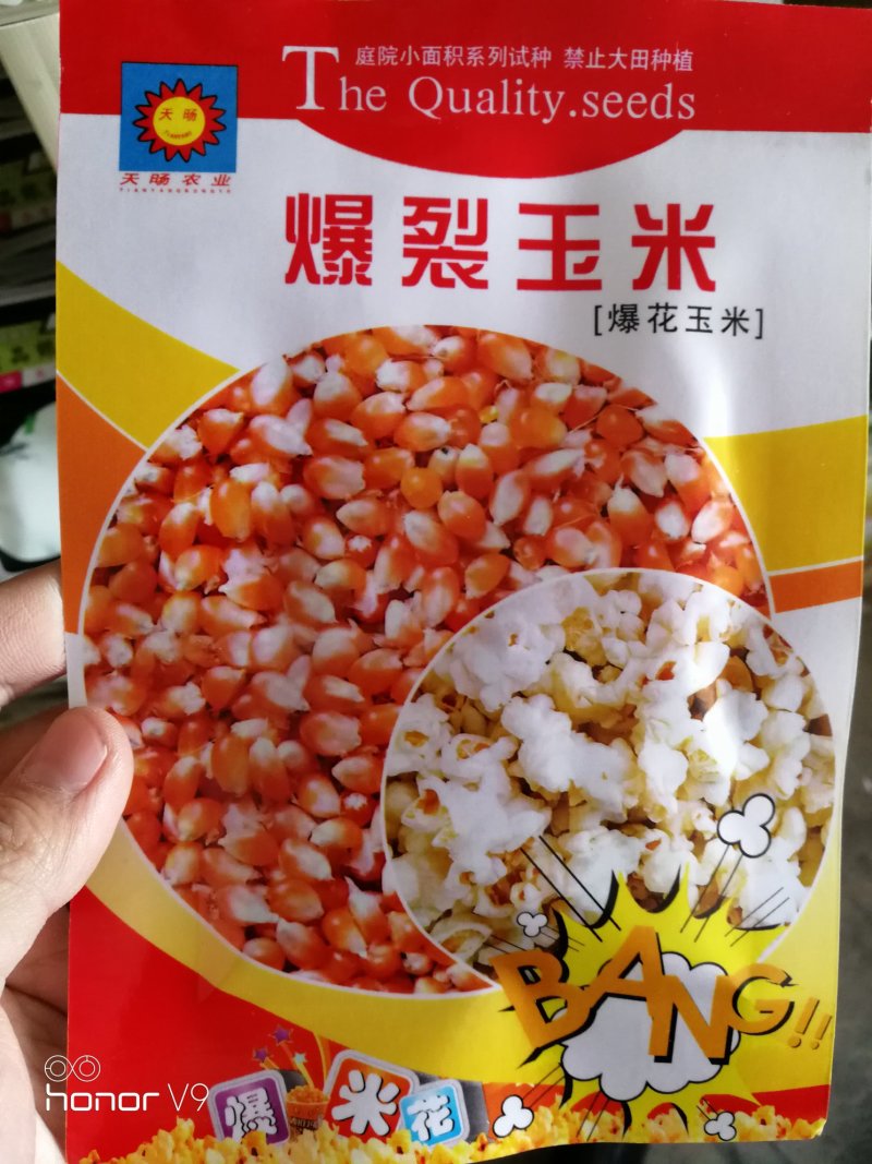 【优质】草莓菠萝奶油爆米花水果花小玉米种子