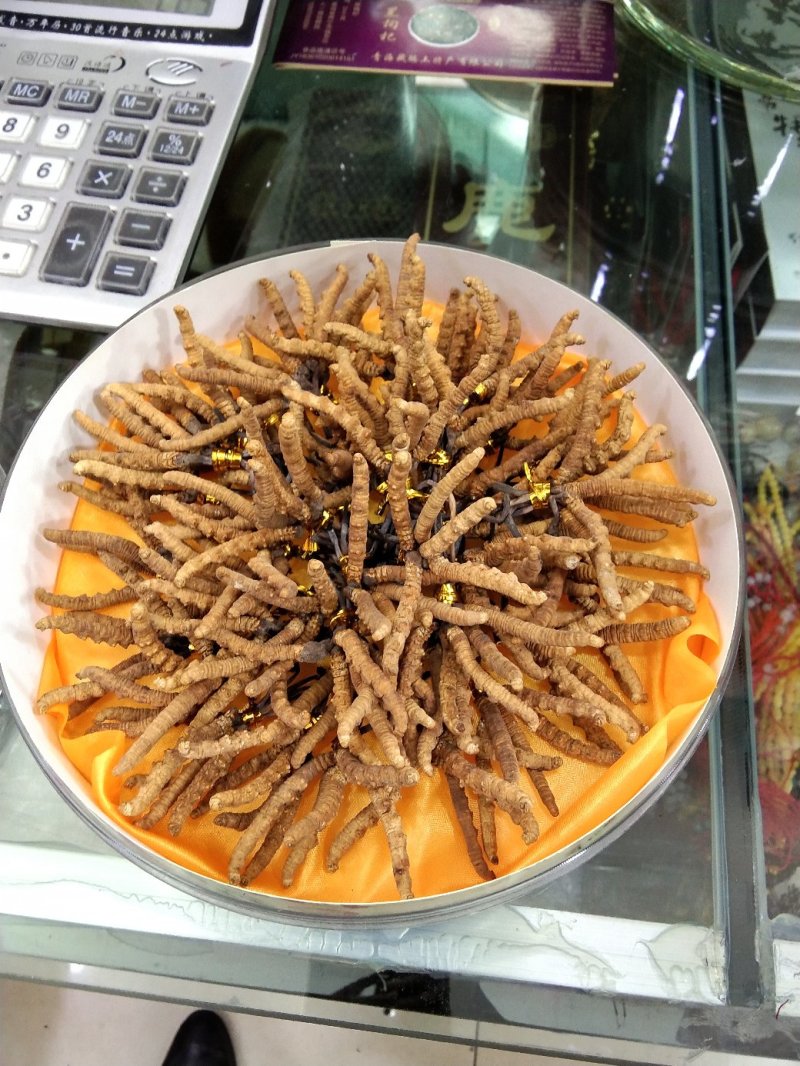 黑枸杞，冬虫夏草，藏红花，牛肉干