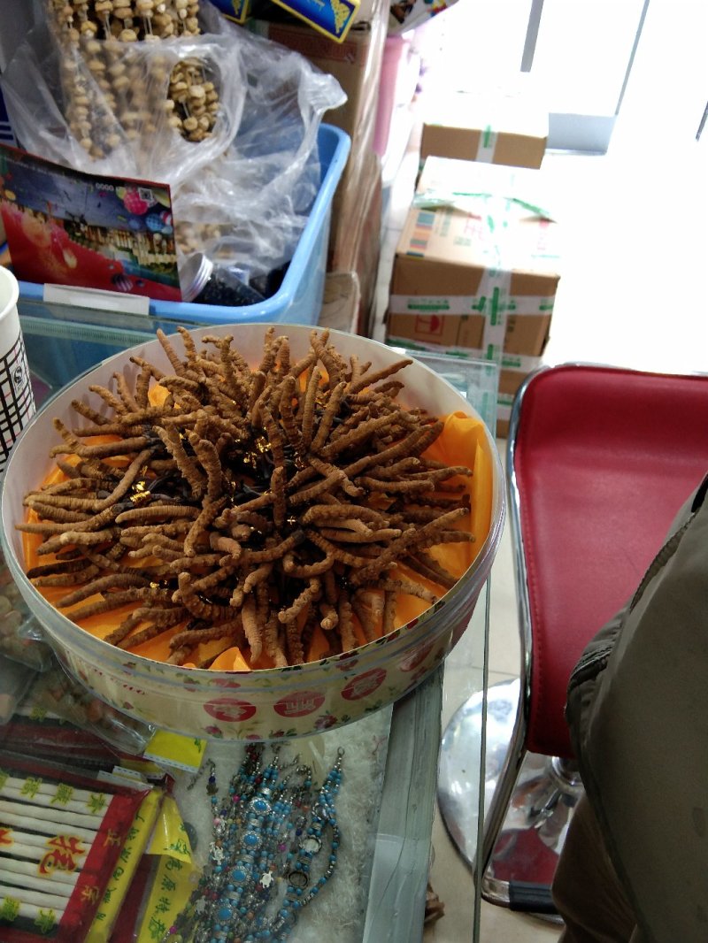 黑枸杞，冬虫夏草，藏红花，牛肉干