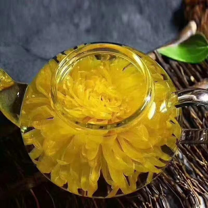 金丝皇菊茶