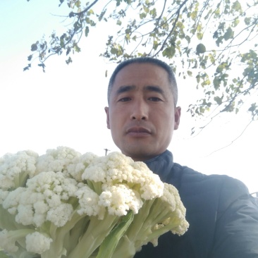 有机散花