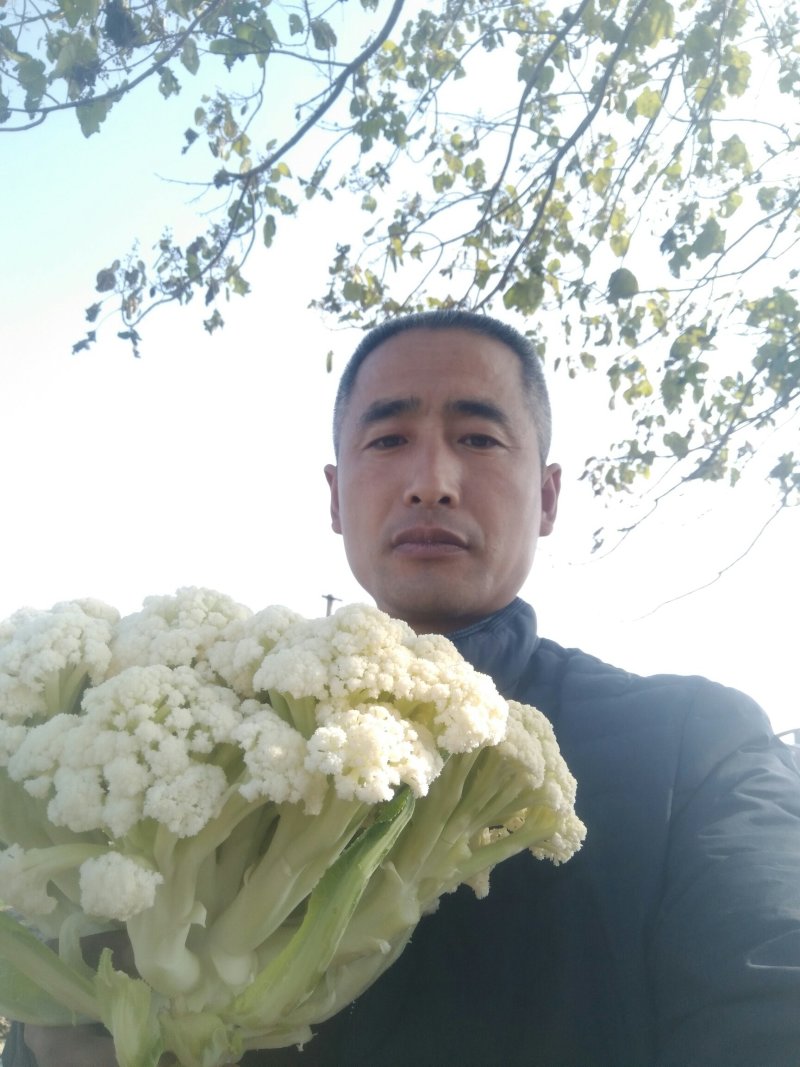 有机散花