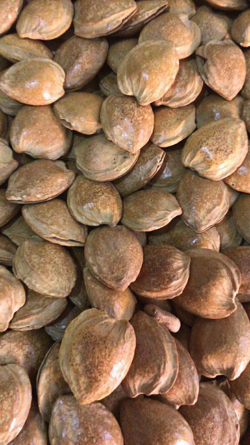 吊杆杏仁五香味