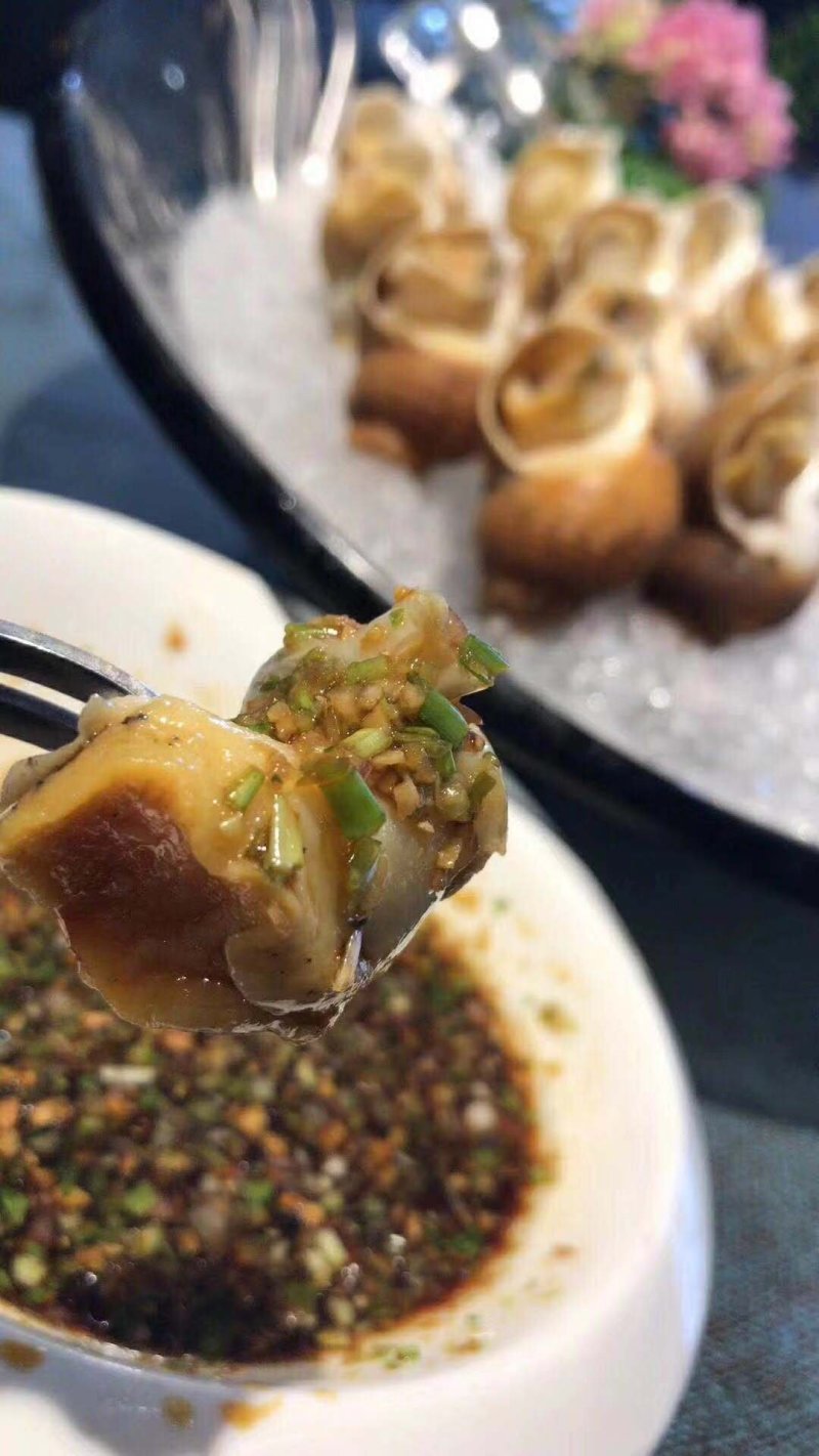 进口白螺