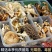 菌汤包十二珍十二种养生食材菌菇包煲汤厂家直销七彩菌汤包