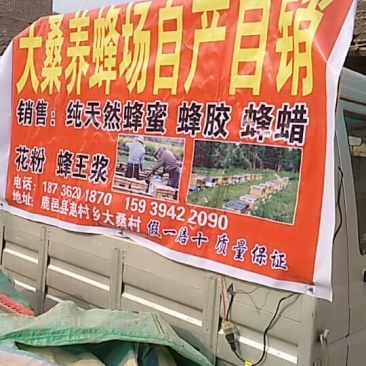 大桑养蜂厂