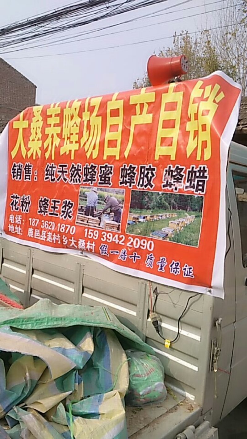 大桑养蜂厂