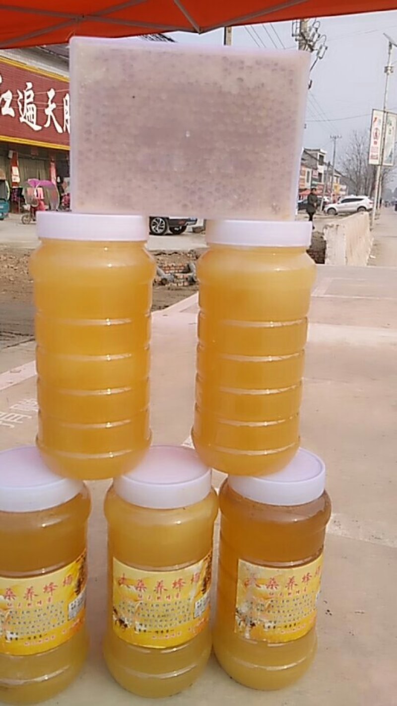 大桑养蜂厂
