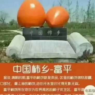 富平吊霜柿饼
