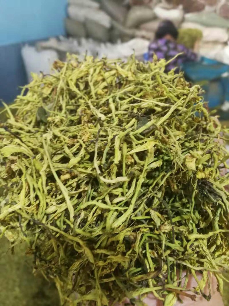 湘蕾金银花种苗火热销售中