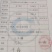 长白山林下野山参
