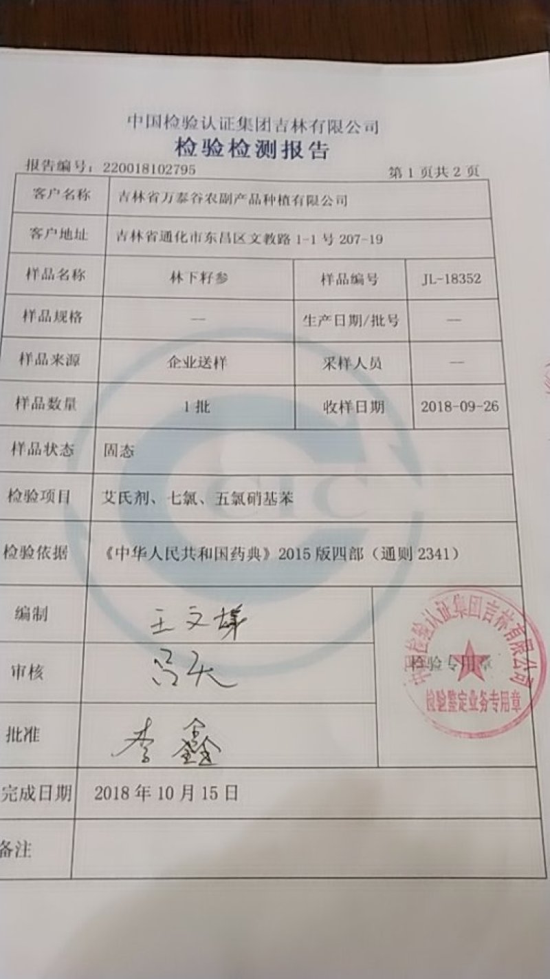长白山林下野山参