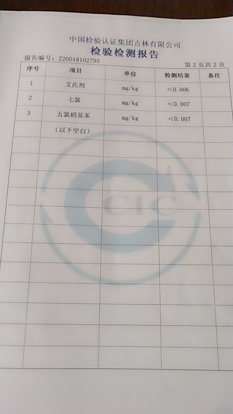 长白山林下野山参